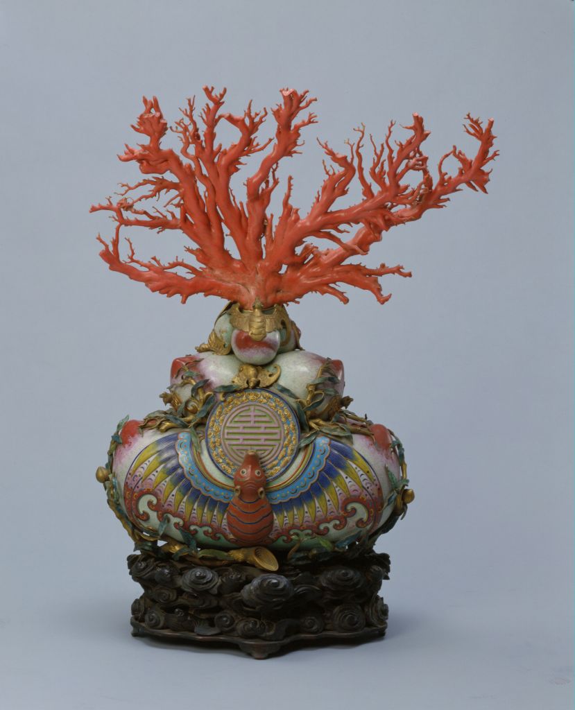 图片[1]-Red coral tree bonsai-China Archive